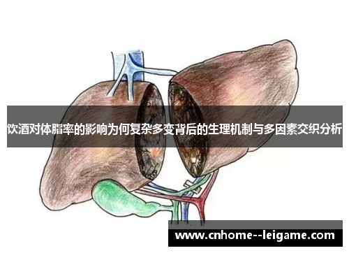饮酒对体脂率的影响为何复杂多变背后的生理机制与多因素交织分析